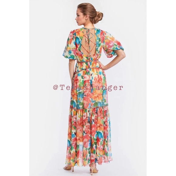 NWT One33 Social The Francesca Floral Maxi Gown Size 4 - Picture 3 of 16